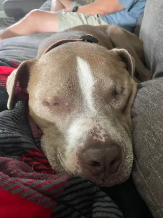 Oklahoma
