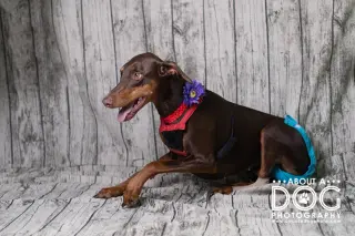 Reina - Forever Foster