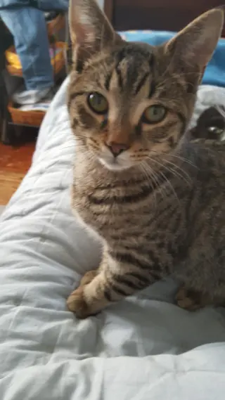 Nick