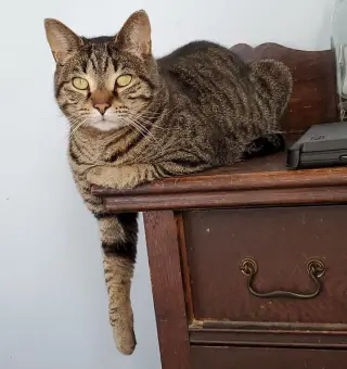 Nick