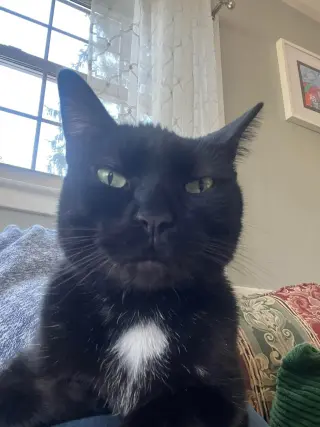 Rosco