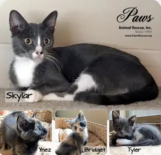 Sky (aka Skylar)