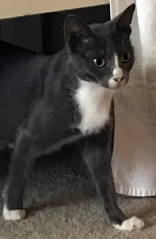Sky (aka Skylar)