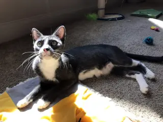 Sky (aka Skylar)