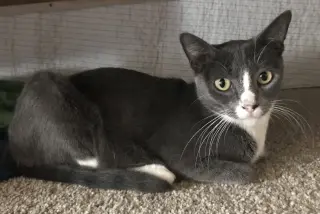 Sky (aka Skylar)