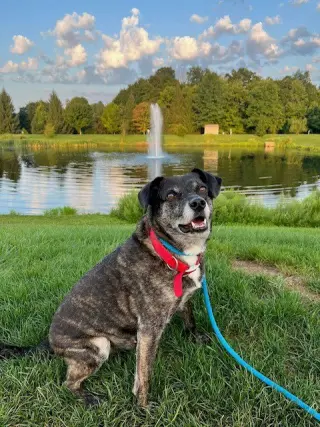 Ollie (Noah) Alabama