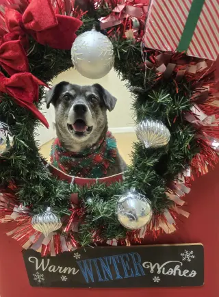 Ollie (Noah) Alabama