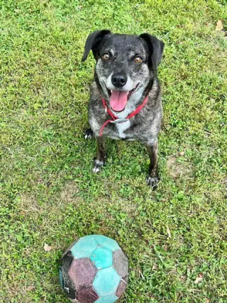 Ollie (Noah) Alabama