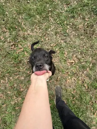 Rhoda