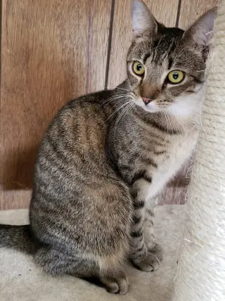 Malibu