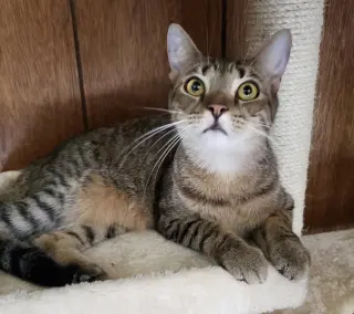 Malibu