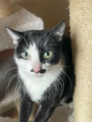 Luna