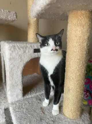 Luna