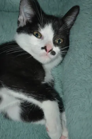 Luna