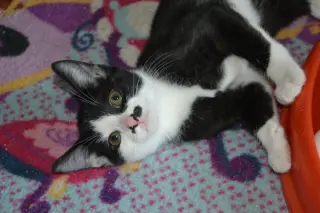 Luna