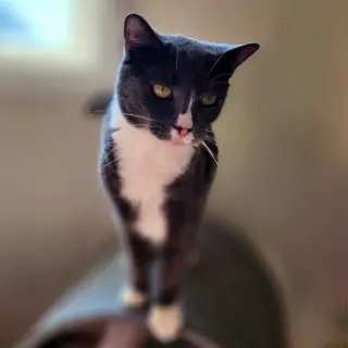Rita