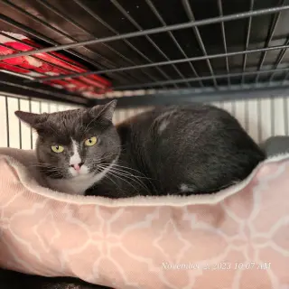 Rita