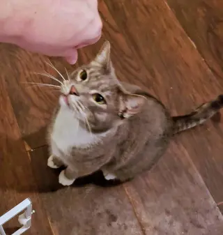 Zeus