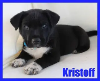 Kristoff - CP