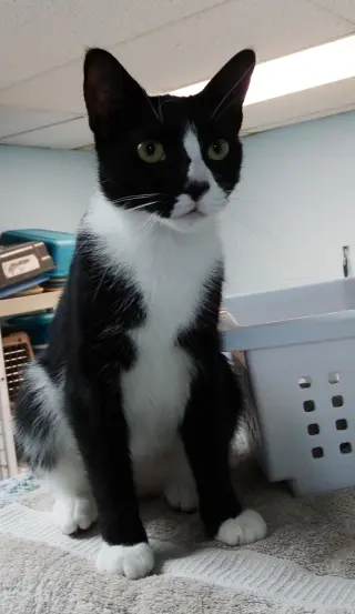 Mia