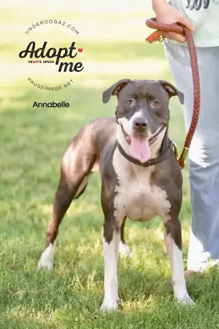 ANNABELLE "Annie"