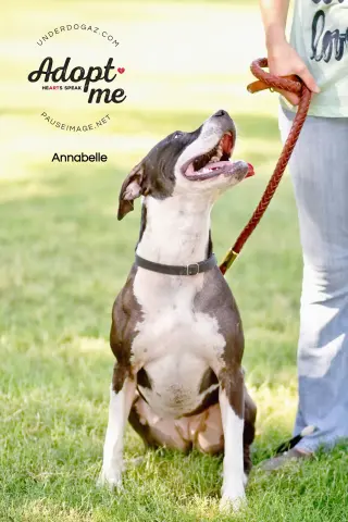 ANNABELLE "Annie"