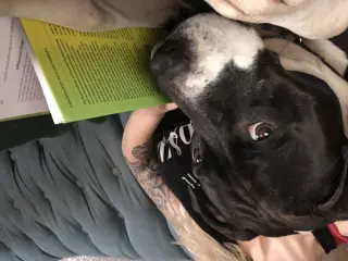 ANNABELLE "Annie"