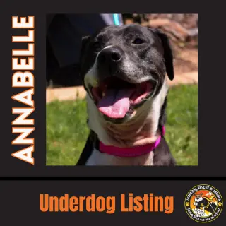 ANNABELLE "Annie"