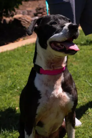 ANNABELLE "Annie"