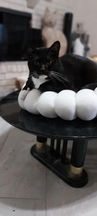 Tucker