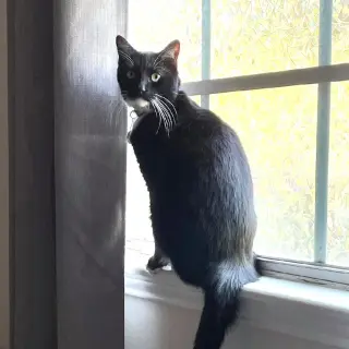 Fred