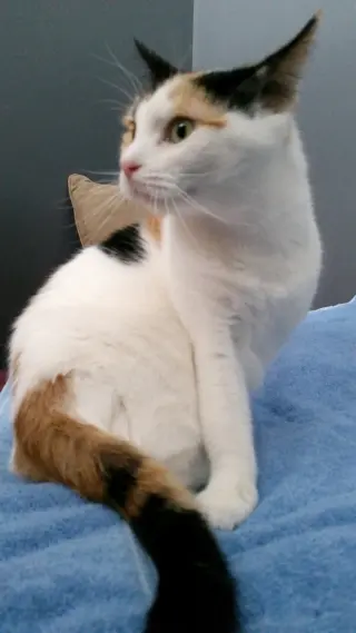 Freya