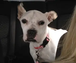 Marlee (Forever Foster)