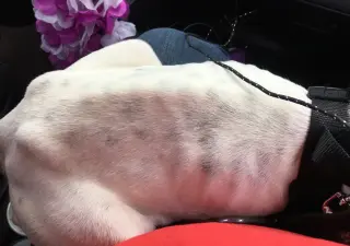 Marlee (Forever Foster)