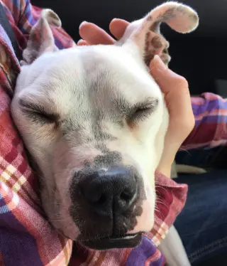 Marlee (Forever Foster)