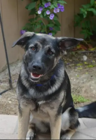 Helga
