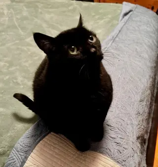 Rosie