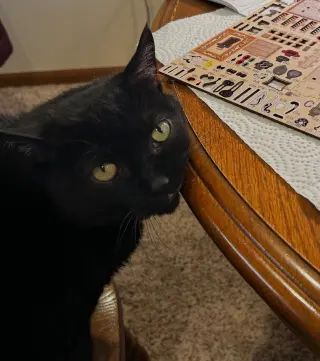 Rosie