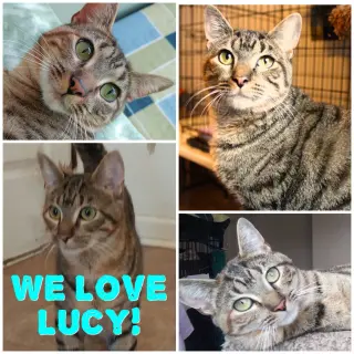 Lucy