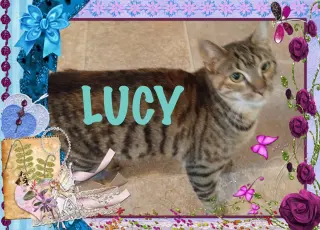 Lucy