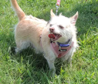 MARVELOUS MISSY
