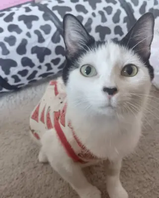 Barbara