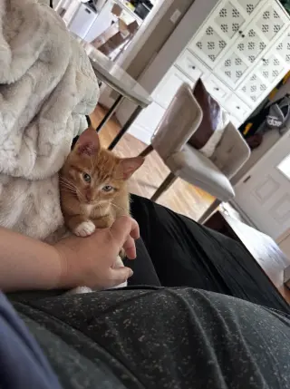 SEBASTIAN