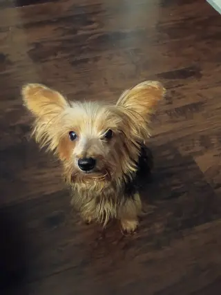 Jack