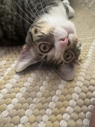 Jackie