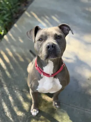 Gloria