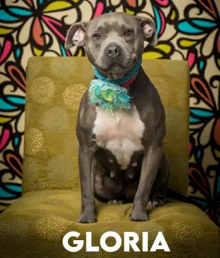 Gloria