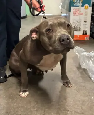 Gloria