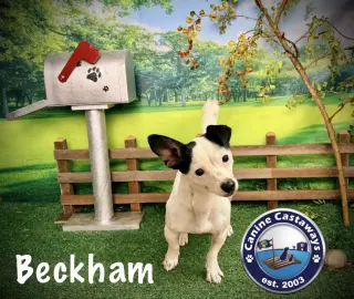 Beckham