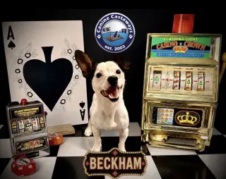Beckham